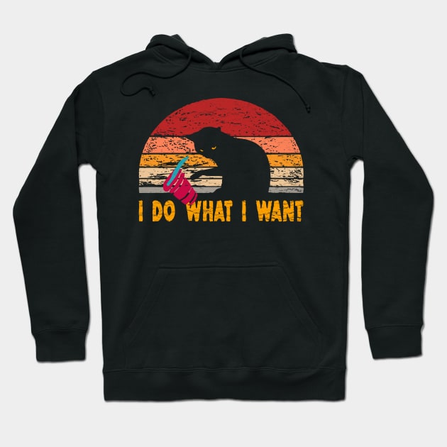 i do what i want Hoodie by arcilles